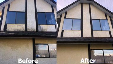 siding-cleaning-vancouver Pressure Washing Maple Ridge, BC