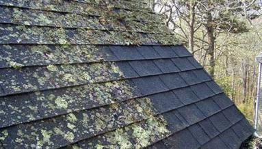 vancouver-roof-demossing Pressure Washing Maple Ridge, BC